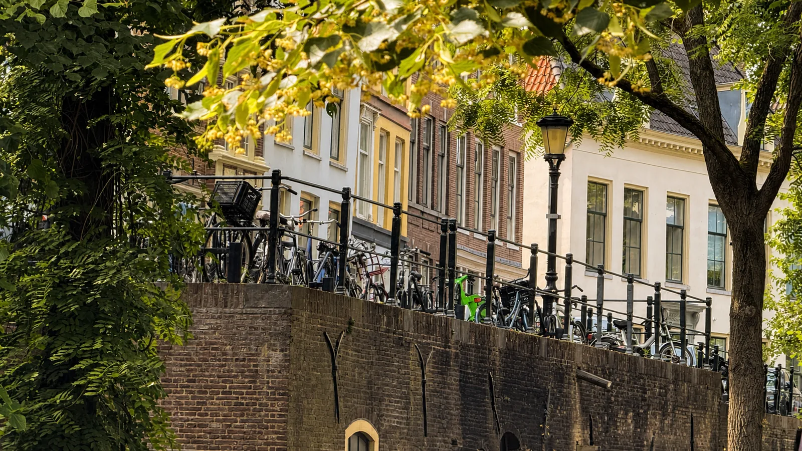 Gevels en bomen langs de Nieuwegracht in zomerlicht